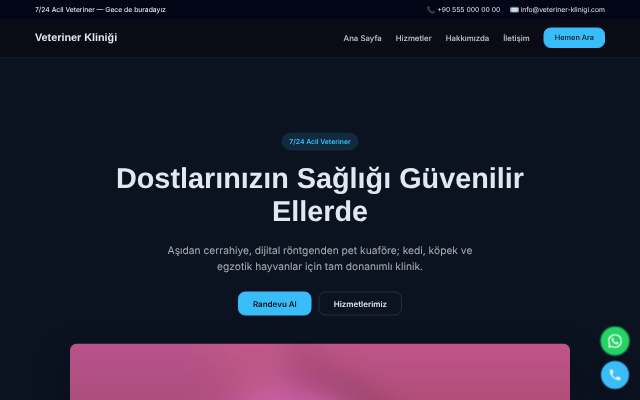 Veteriner Kliniği — Gece Mavisi